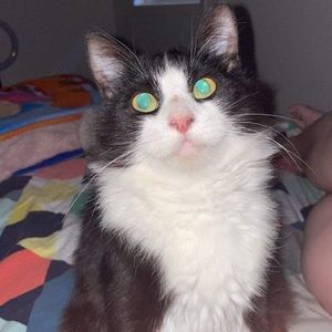 Meet your Posher, Angela